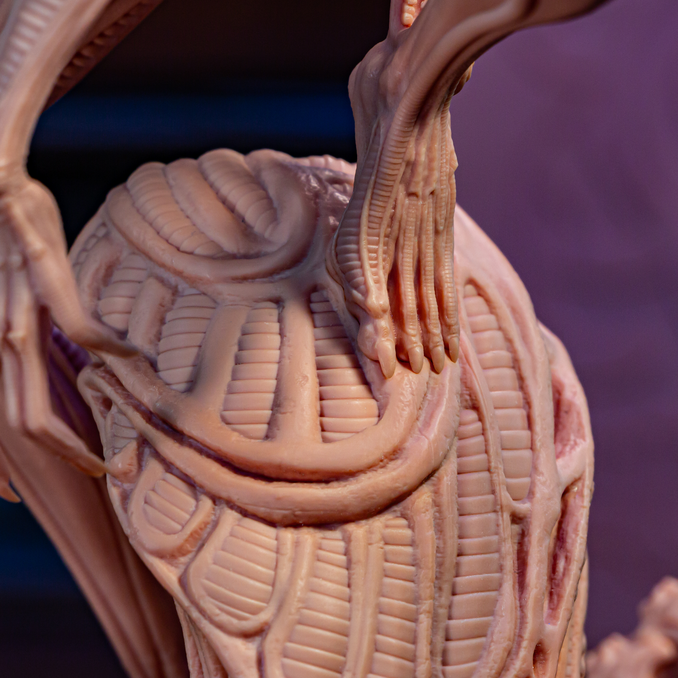 Xenomorph - Alien