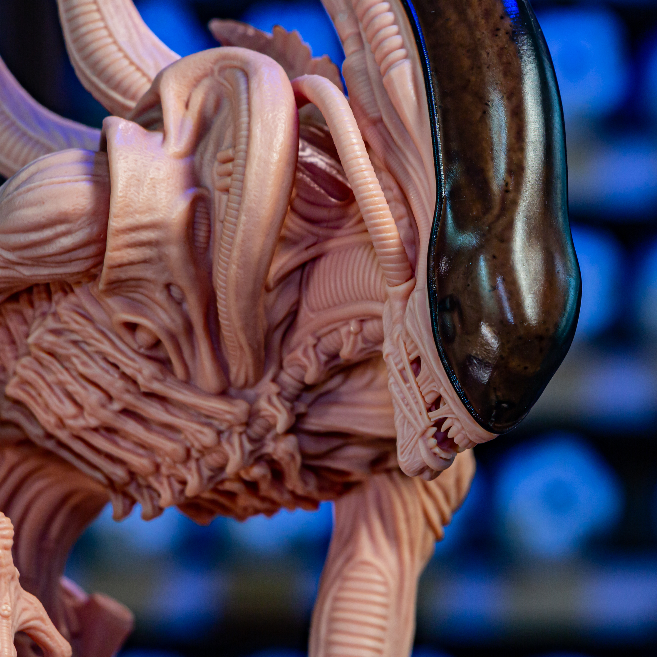 Xenomorph - Alien