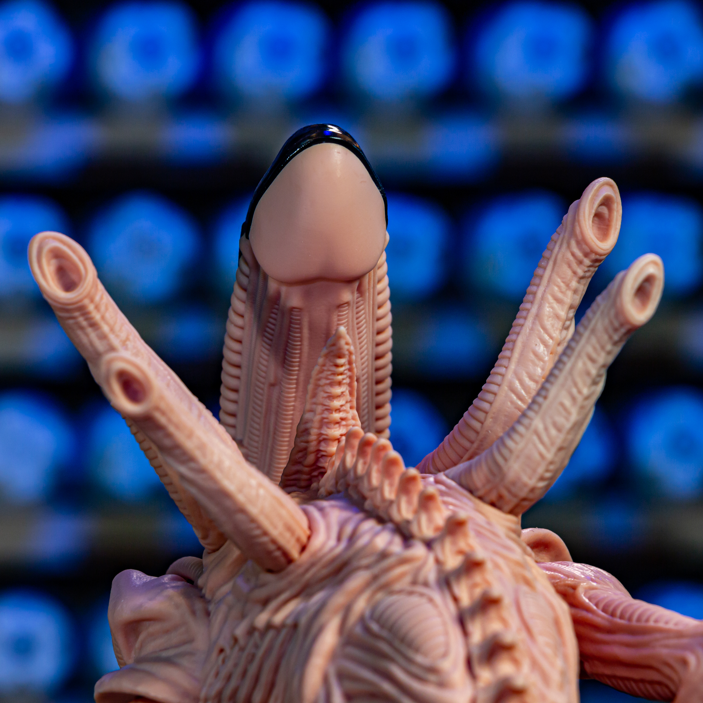 Xenomorph - Alien